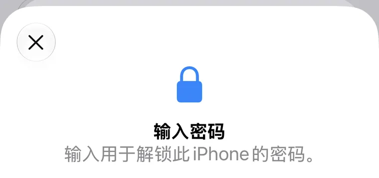 输入用于解锁 iPhone 的锁屏密码